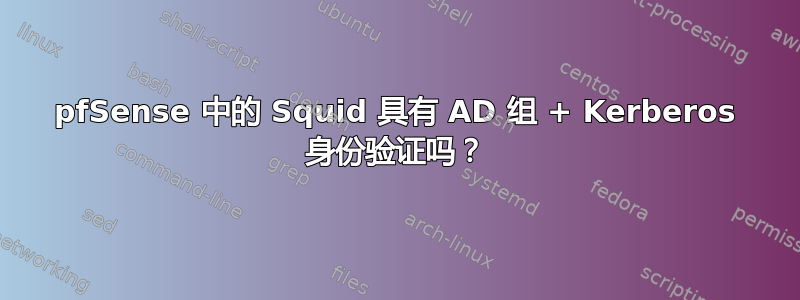 pfSense 中的 Squid 具有 AD 组 + Kerberos 身份验证吗？