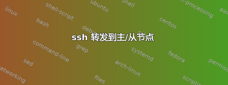 ssh 转发到主/从节点