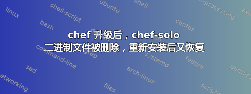 chef 升级后，chef-solo 二进制文件被删除，重新安装后又恢复