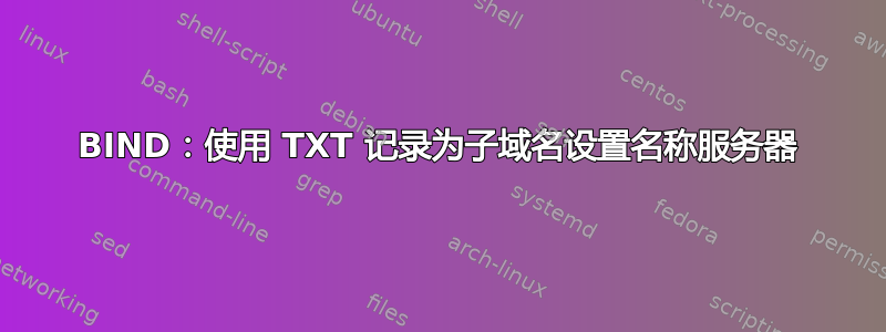 BIND：使用 TXT 记录为子域名设置名称服务器