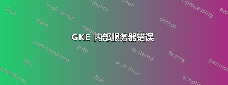 GKE 内部服务器错误