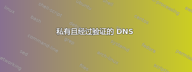 私有且经过验证的 DNS