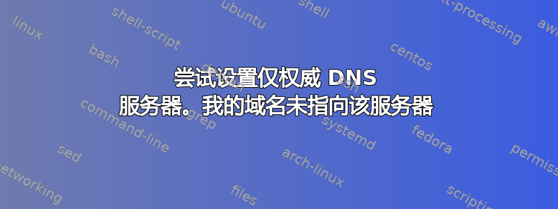 尝试设置仅权威 DNS 服务器。我的域名未指向该服务器