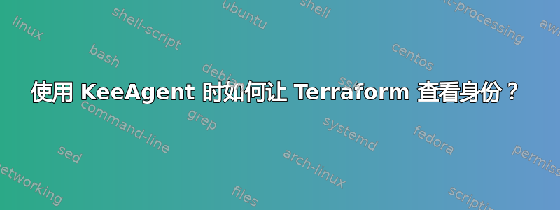 使用 KeeAgent 时如何让 Terraform 查看身份？