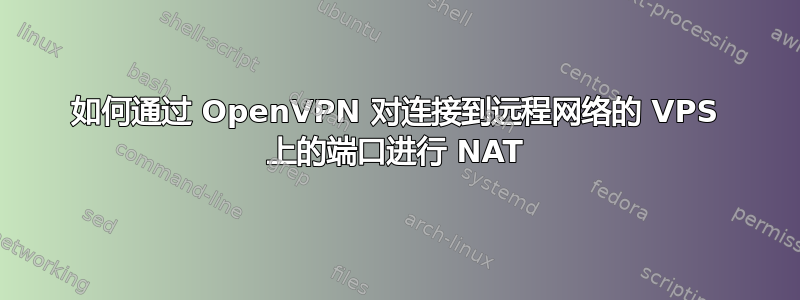 如何通过 OpenVPN 对连接到远程网络的 VPS 上的端口进行 NAT