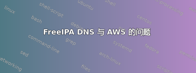 FreeIPA DNS 与 AWS 的问题