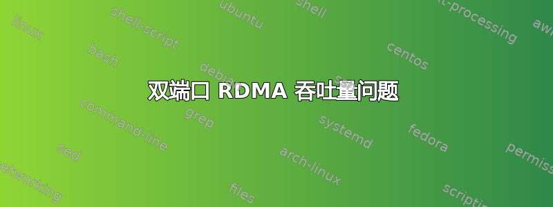 双端口 RDMA 吞吐量问题