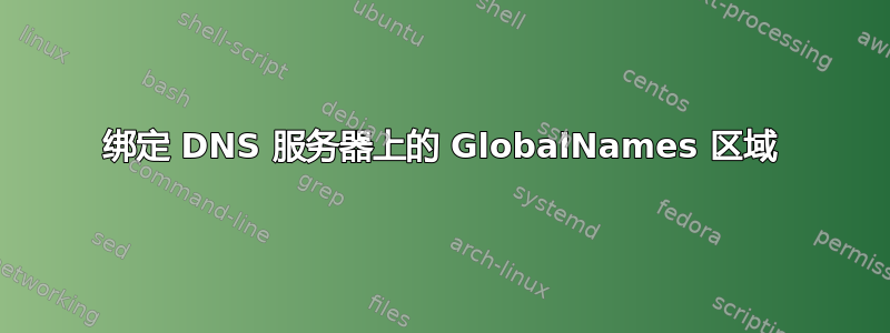 绑定 DNS 服务器上的 GlobalNames 区域