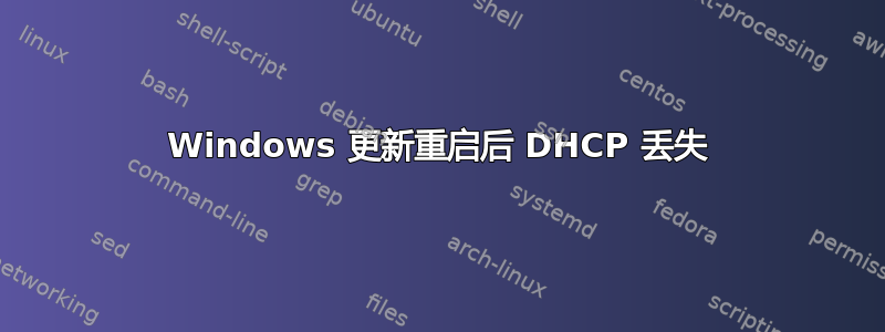 Windows 更新重启后 DHCP 丢失