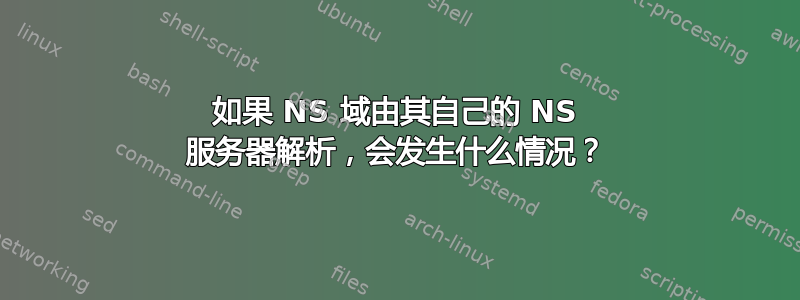 如果 NS 域由其自己的 NS 服务器解析，会发生什么情况？