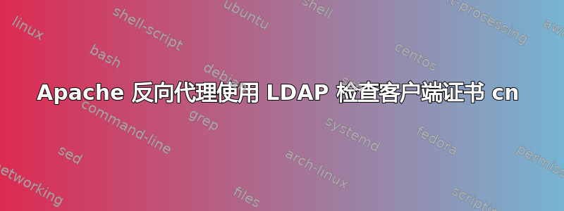 Apache 反向代理使用 LDAP 检查客户端证书 cn