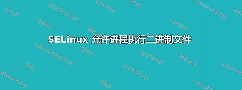 SELinux 允许进程执行二进制文件