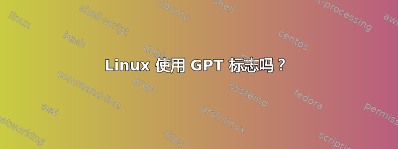 Linux 使用 GPT 标志吗？