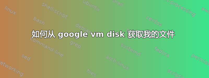 如何从 google vm disk 获取我的文件