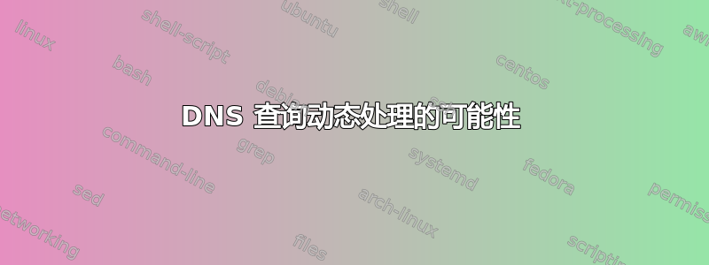 DNS 查询动态处理的可能性