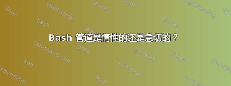 Bash 管道是惰性的还是急切的？