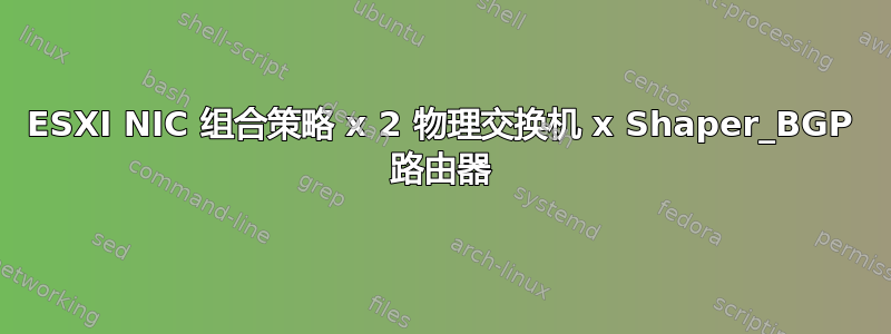 ESXI NIC 组合策略 x 2 物理交换机 x Shaper_BGP 路由器