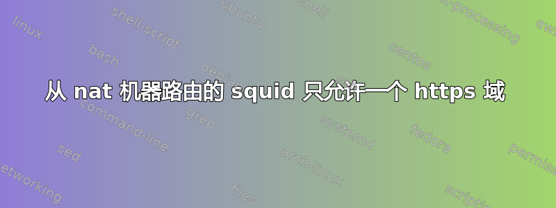 从 nat 机器路由的 squid 只允许一个 https 域