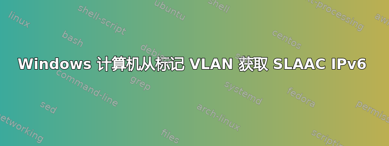 Windows 计算机从标记 VLAN 获取 SLAAC IPv6