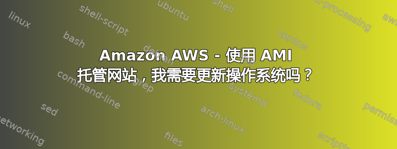 Amazon AWS - 使用 AMI 托管网站，我需要更新操作系统吗？