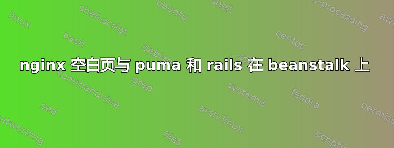 nginx 空白页与 puma 和 rails 在 beanstalk 上