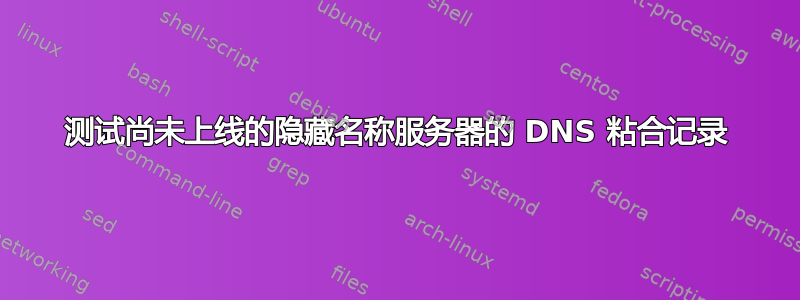 测试尚未上线的隐藏名称服务器的 DNS 粘合记录