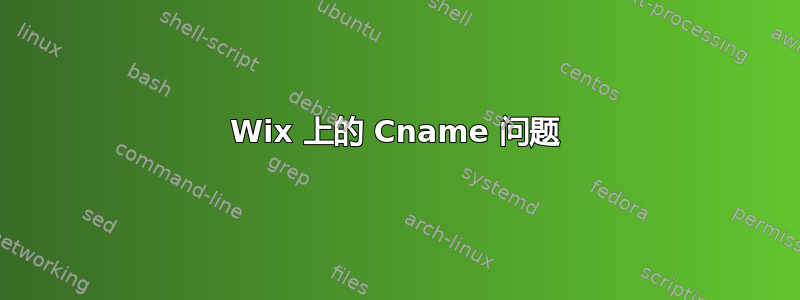 Wix 上的 Cname 问题