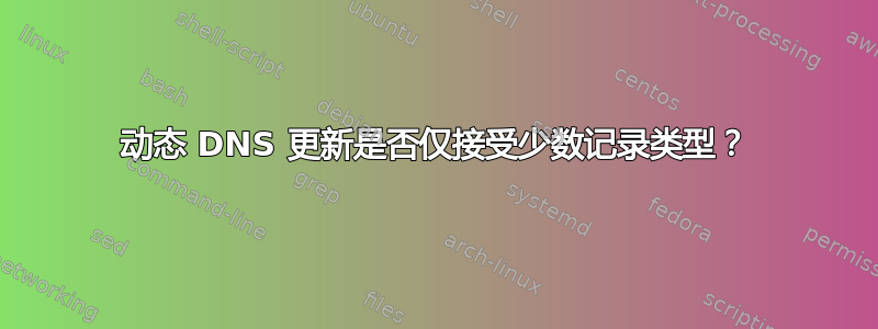 动态 DNS 更新是否仅接受少数记录类型？