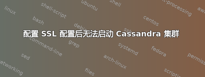 配置 SSL 配置后无法启动 Cassandra 集群