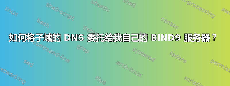 如何将子域的 DNS 委托给我自己的 BIND9 服务器？