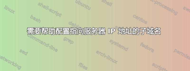 需要帮助配置指向服务器 IP 地址的子域名