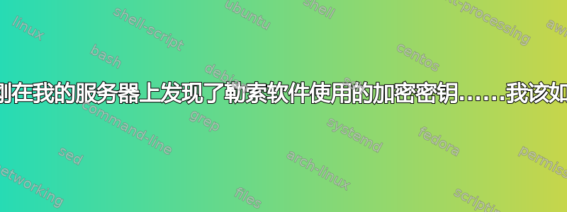 我想我刚刚在我的服务器上发现了勒索软件使用的加密密钥......我该如何检查？