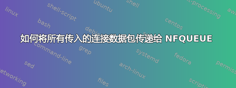 如何将所有传入的连接数据包传递给 NFQUEUE