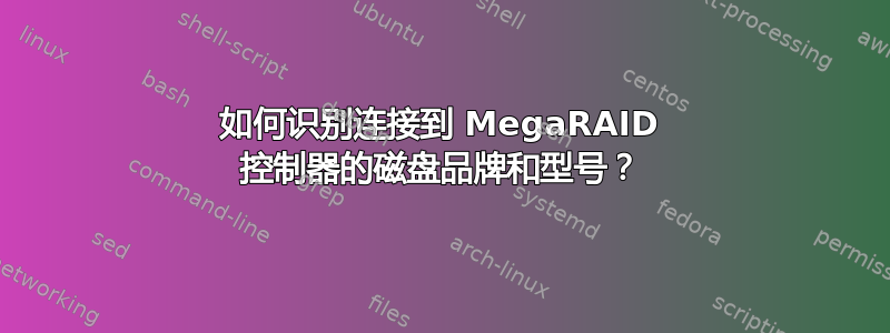 如何识别连接到 MegaRAID 控制器的磁盘品牌和型号？