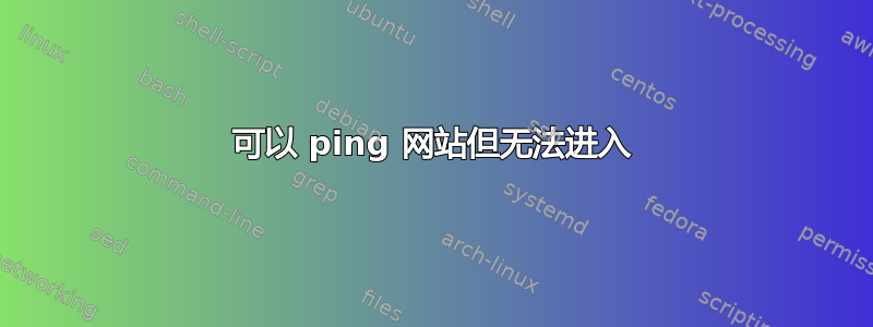 可以 ping 网站但无法进入