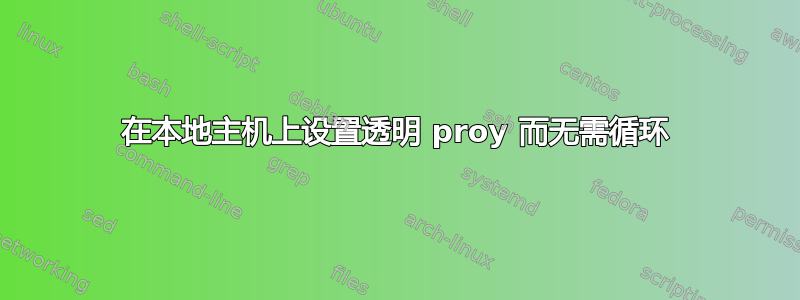 在本地主机上设置透明 proy 而无需循环