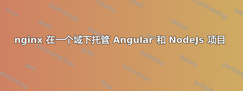 nginx 在一个域下托管 Angular 和 NodeJs 项目