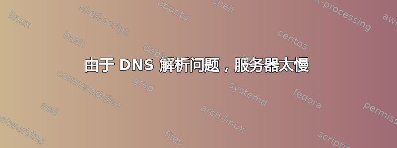 由于 DNS 解析问题，服务器太慢