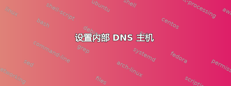 设置内部 DNS 主机