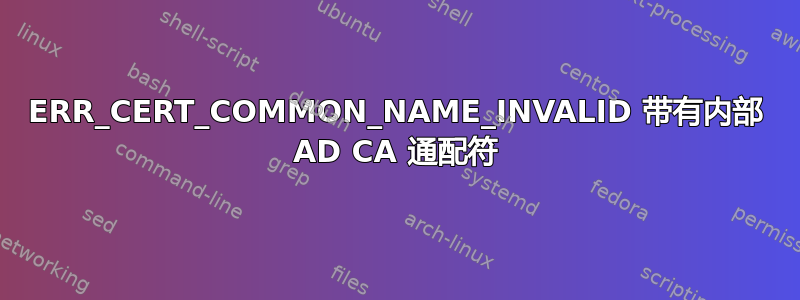 ERR_CERT_COMMON_NAME_INVALID 带有内部 AD CA 通配符