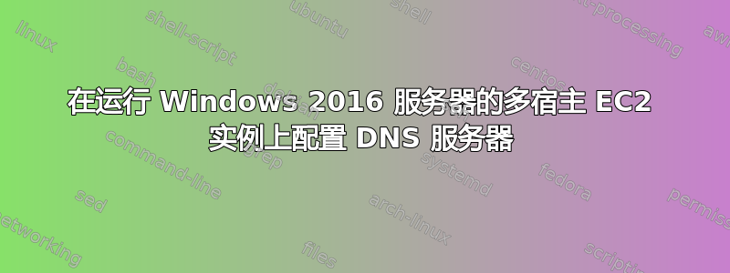 在运行 Windows 2016 服务器的多宿主 EC2 实例上配置 DNS 服务器