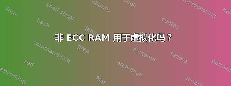 非 ECC RAM 用于虚拟化吗？