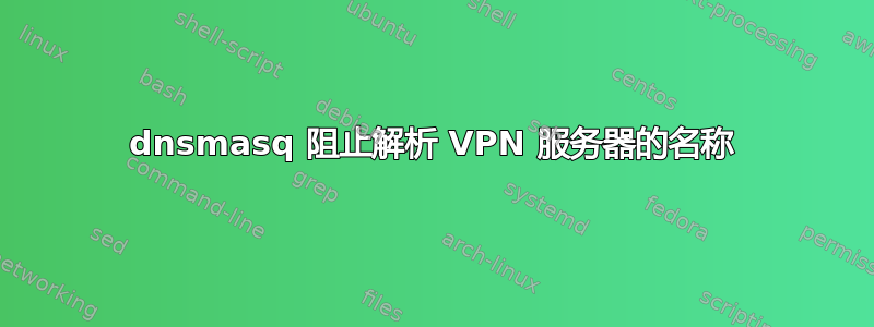 dnsmasq 阻止解析 VPN 服务器的名称