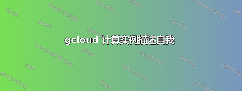 gcloud 计算实例描述自我