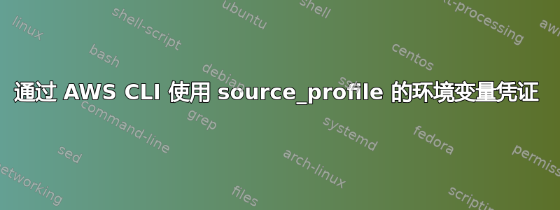 通过 AWS CLI 使用 source_profile 的环境变量凭证