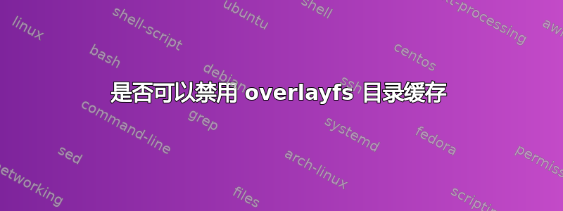 是否可以禁用 overlayfs 目录缓存