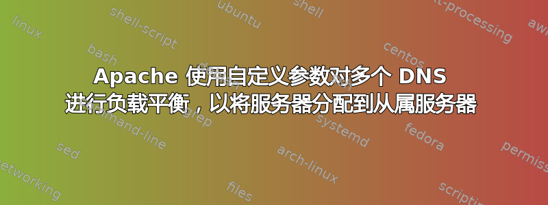 Apache 使用自定义参数对多个 DNS 进行负载平衡，以将服务器分配到从属服务器