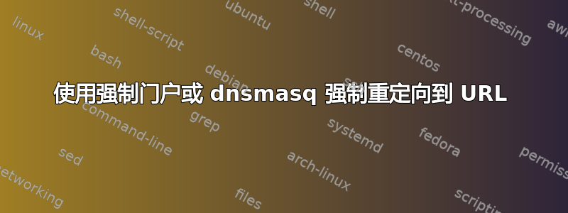 使用强制门户或 dnsmasq 强制重定向到 URL