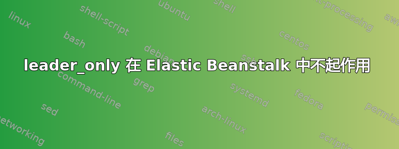 leader_only 在 Elastic Beanstalk 中不起作用