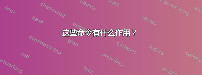 这些命令有什么作用？